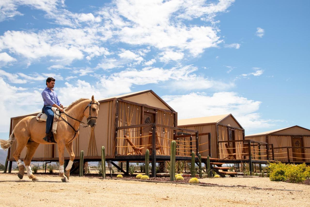 Indómito Glamping Resort Valle de Guadalupe Exterior foto
